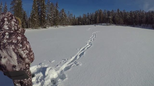 400 км на снегоходе по карельским ламбушкам. Рыбалка и охота в глухозимье. Таёжная изба. смотреть онлайн