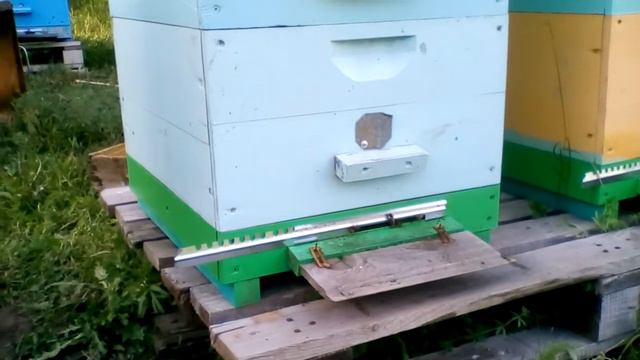 Искусственное роение - сбережет ваши нервы :) смотреть онлайн