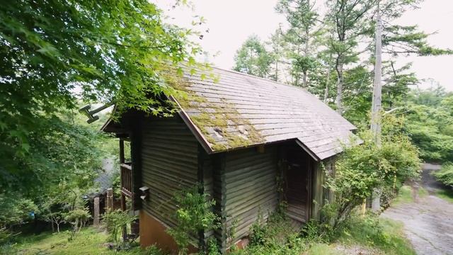 Почему Японцы Бросают Дома? Заброшенные дома в Японии смотреть онлайн