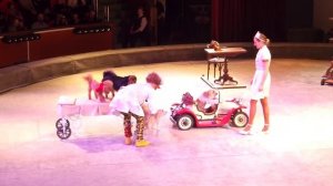 Уголок дедушки Дурова. Дорога длиною в век