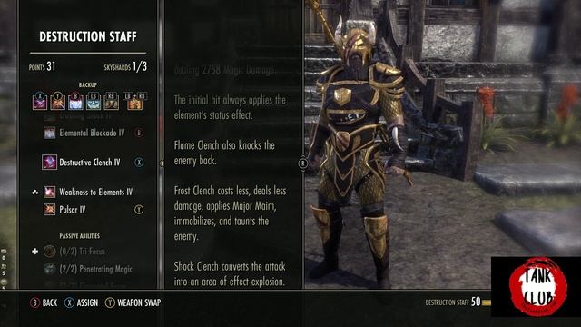 Tank Basics 4 - Using An Ice Staff | Elder Scrolls Online смотреть онлайн