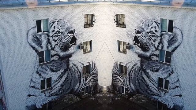 Граффити на фасаде. Самый большой мурал Тигрица с тигрёнком. Граффити Россия. смотреть онлайн