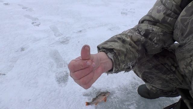 Рыбалка на Химкинском водохранилище 23.03.2019 г. смотреть онлайн