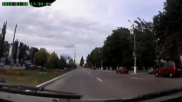 Олени путают цвета на светофорах смотреть онлайн