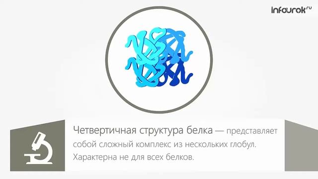 Белки Биология 10 класс #8 Инфоурок смотреть онлайн