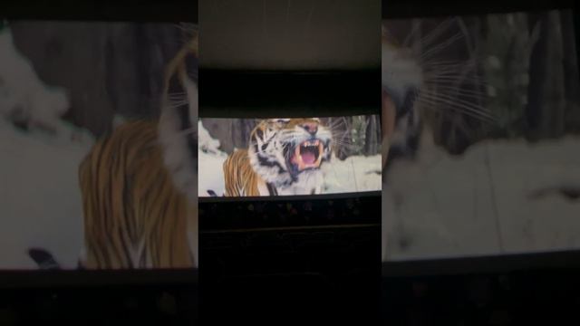 Стильность и стиль - это не одежда, это состояние души, которое выражено через внешний план. смотреть онлайн