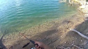 Твичинг. Проводка воблера Yo-zuri L-minnow 66