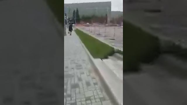 Аккуратные, чистые и красивые прогулочные места Новосибирска смотреть онлайн