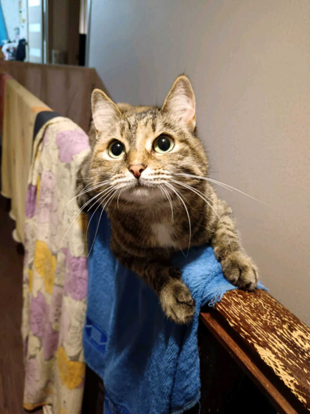 играем в schoolboy смотреть онлайн