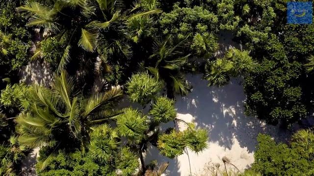 Amazing Tulum Beach in Mexico | Beautiful Tulum Beach Mexico | Visit Tulum Beach Mexico 2021 смотреть онлайн