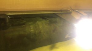 Аквариум на 600 литров #1 Перелив Херби Herbie Overflow