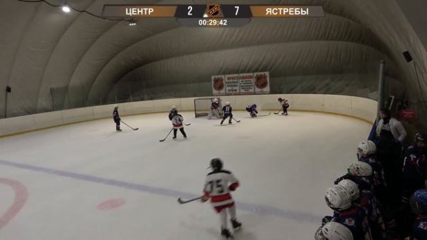 Центр-Ястребы 2011г, счет 4:12, 09.02.2020г