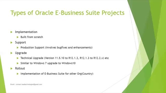 Oracle E-Business Suite Project Types смотреть онлайн