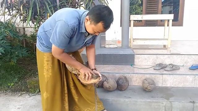 Cara Mengupas Kelapa / Как очистить кожуру Кокоса / كيف تقشر جوز الهند смотреть онлайн