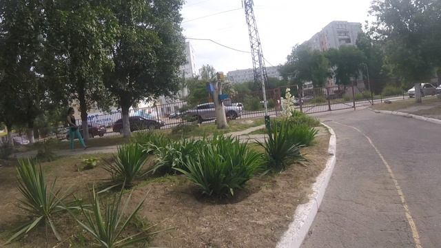 GOPR0423 смотреть онлайн