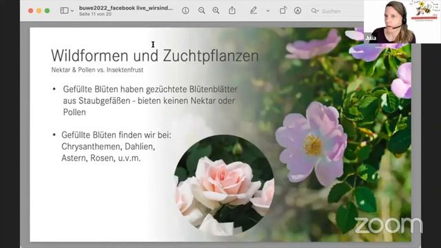 Wildbienen kennenlernen! смотреть онлайн
