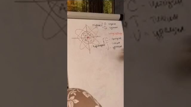 Связь символа Звезда Руси, ДНК Человека и Земли смотреть онлайн