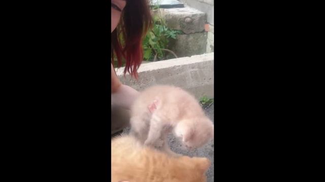 С Днём Рождения, любимая! смотреть онлайн