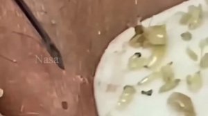 مهارة الحماية NASA168