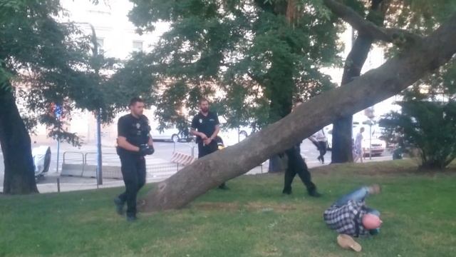 Hlavní nádraží, Praha - Epický seskok ze stromu! смотреть онлайн