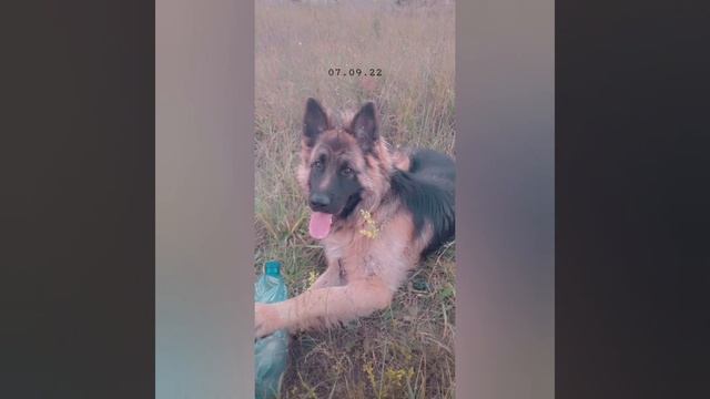 рекомендуется слушать в наушниках смотреть онлайн