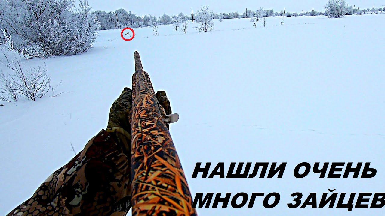 12 ЗАЙЦЕВ!!! Закрытие охоты на зайца / MAX HUNTER смотреть онлайн