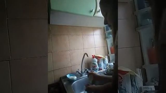Как легко и просто почистить клетку для морской свинки. смотреть онлайн