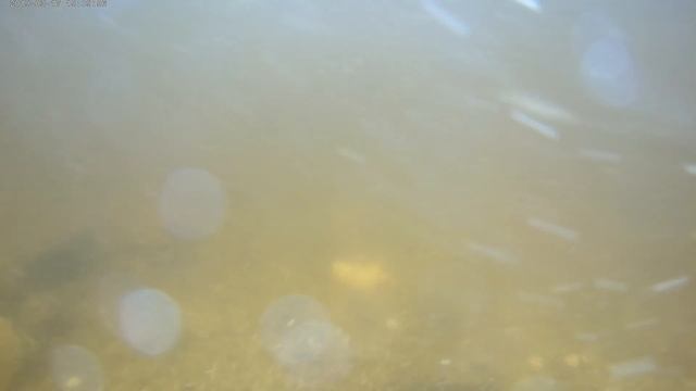 Первый блин комом подводная съёмка. Underwater photography. смотреть онлайн