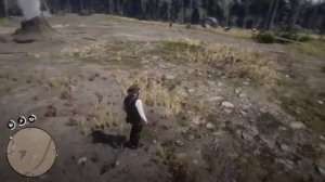 1000 $ Сокровища шайки Джека Холла на 1000$ в Red Dead Redemption 2 PS4
