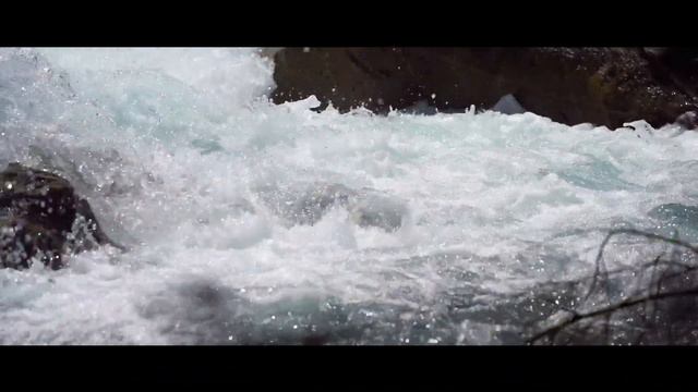 Сиема - почувствуй вкус природы | SIYOMA - Feel the taste of nature смотреть онлайн