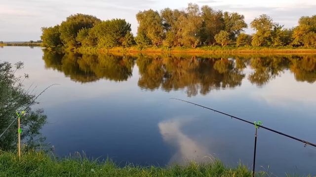 Лещ с Первого Заброса!! Мощные Лещёвые Поклёвки. Фидер на Днепре. Рыбалка с Ночёвкой. Драники. смотреть онлайн