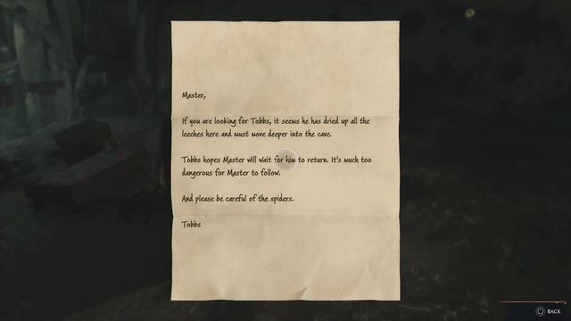 Hogwarts Legacy SEARCH FOR TOBBS BIG SPIDER BOSS смотреть онлайн