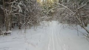 Прокладка лыжни самодельным резаком и мотобуксировщиком "Мухтар"