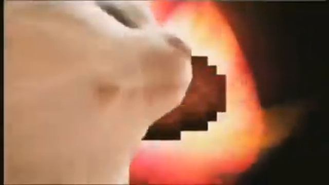 кот танцует под музыку pigstep UwU смотреть онлайн