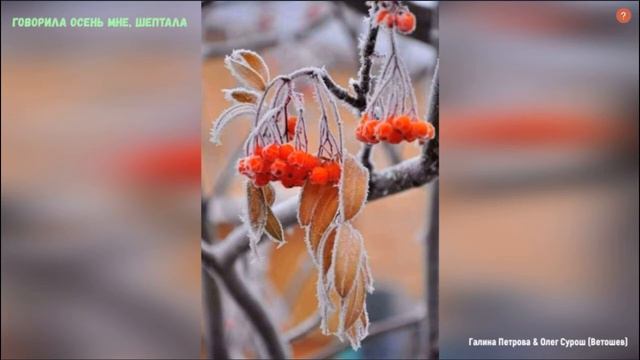 ГОВОРИЛА ОСЕНЬ МНЕ, ШЕПТАЛА (Галина Петрова & студия "ПОРА") смотреть онлайн