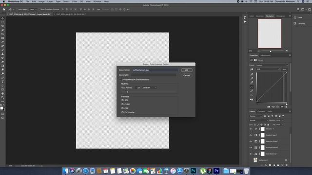 Create Presets (LUTs) for Photoshop and Premiere pro in 2mins + Free Preset (Link in description) смотреть онлайн