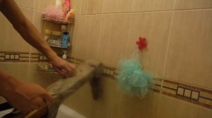 ВЫДЕЛКА ШКУРЫ ЛИСЫ ЧАСТЬ 4 (мездрение)