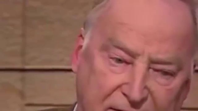 Aber Angela Merkel denkt nicht Alexander Gauland AfD Ska Keller Grüne смотреть онлайн