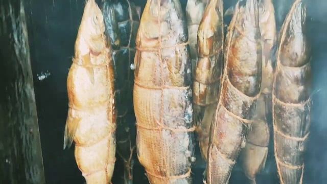 3 Ошибки при копчении рыбы Сырок и Скумбрия холодного копчения смотреть онлайн