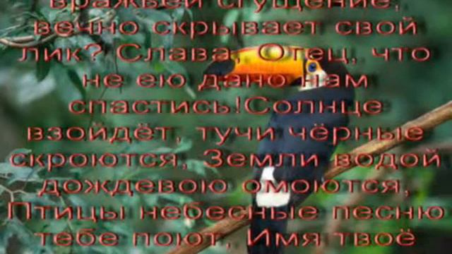 Что этот свет # фонограмма смотреть онлайн