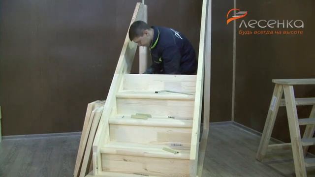 Сборка ДЛС-215