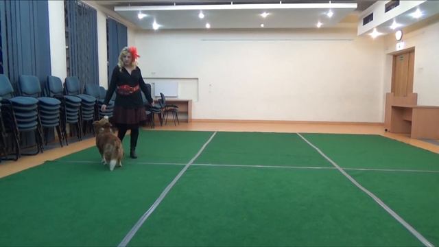 Открытый НТМ Ирина Демина и Малыш La Camisa Negrа смотреть онлайн