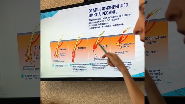 ЕСЛИ ВЫРВАТЬ РЕСНИЦУ С КОРНЕМ смотреть онлайн