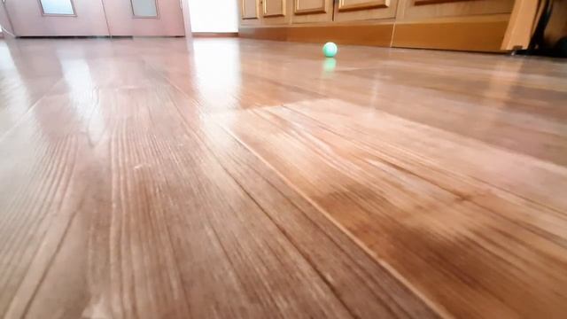 Эксперименты с попрыгунчиками