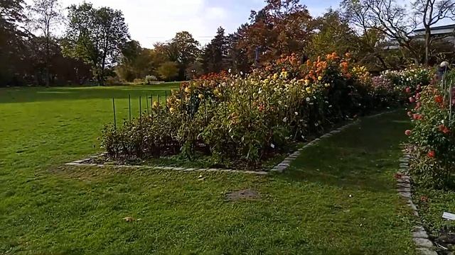 Вестфаленпарк, Дортмунд смотреть онлайн