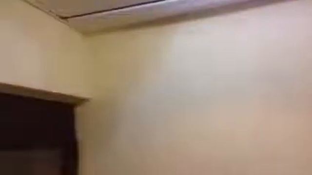 Привет Будущим жителям ЖК Династия и ЖК Рассказово от нынешних жителей ЖК Николин парк смотреть онлайн