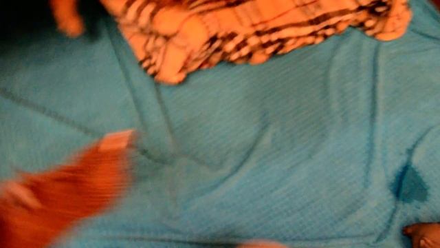 Москва.Норвич терьера щенки. Керн терьера!! смотреть онлайн