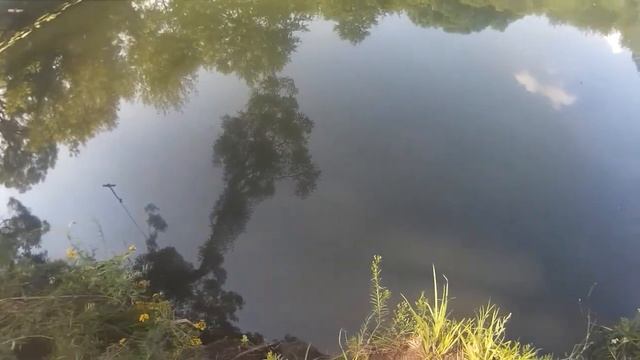 Прохват на питбайках, почти утопил питбайк и пробил колесо... смотреть онлайн