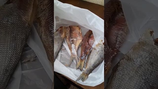 Отзыв реальный, об интернет магазине "Улов Рыбаков" из Астрахани. смотреть онлайн