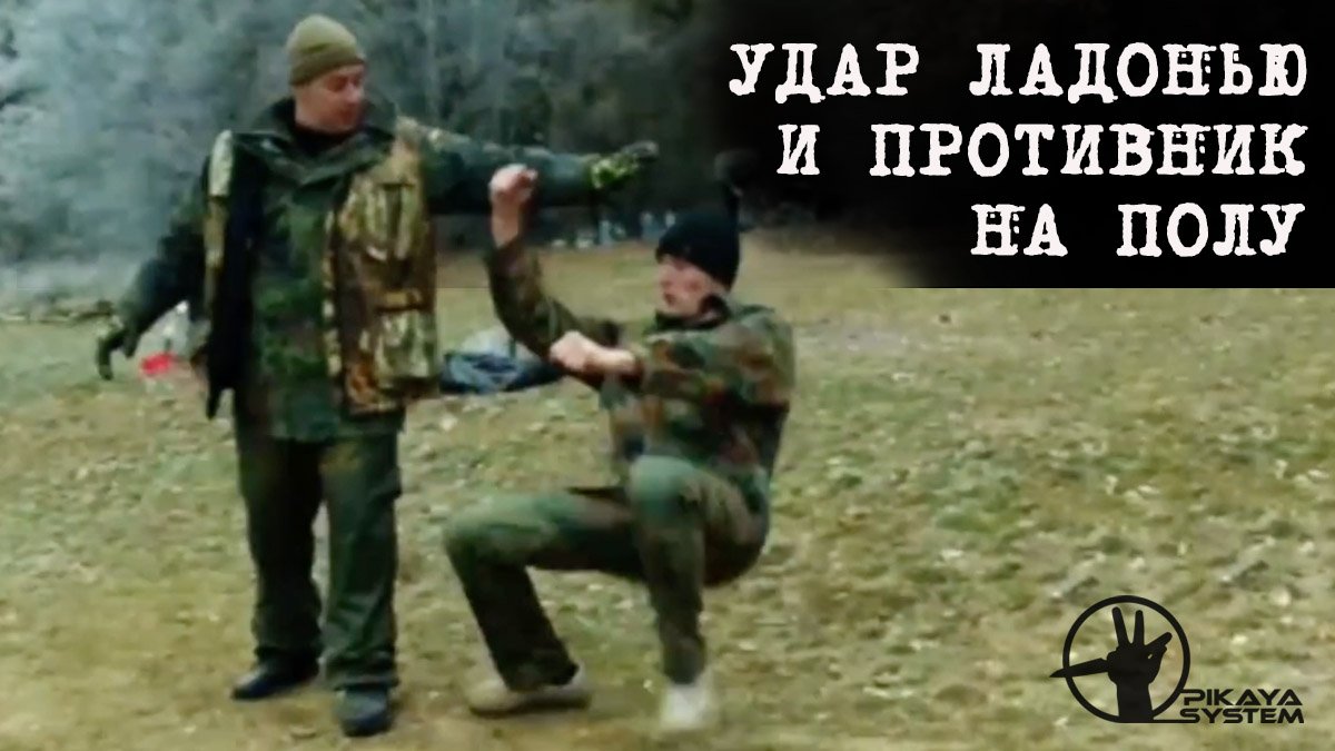 Удар ладонью и противник на полу